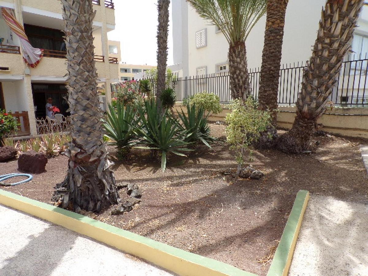 Los Juncos 403 Playa Del Ingles ภายนอก รูปภาพ